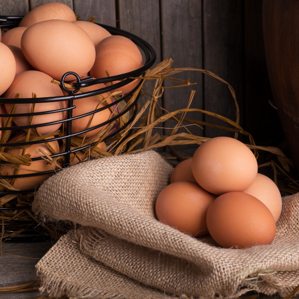 chicken_eggs