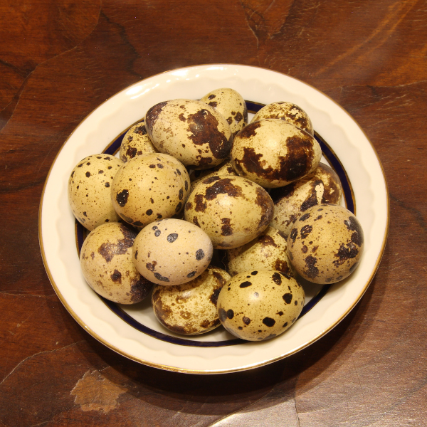 partridge_eggs