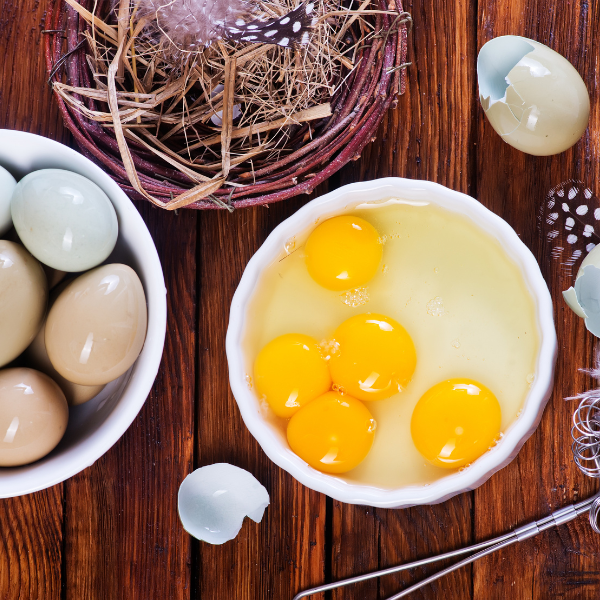 pheasant_eggs