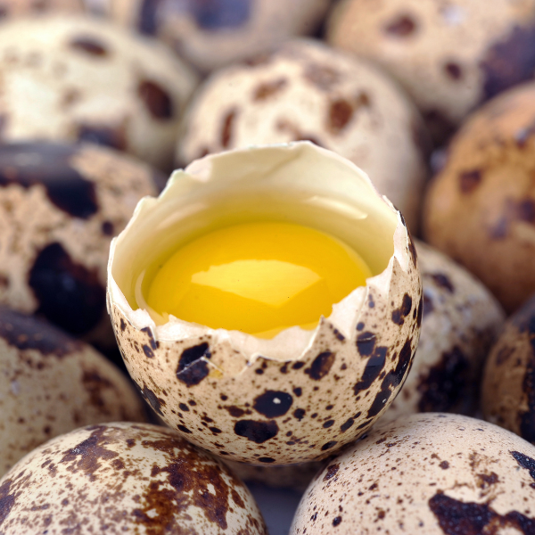quail_eggs